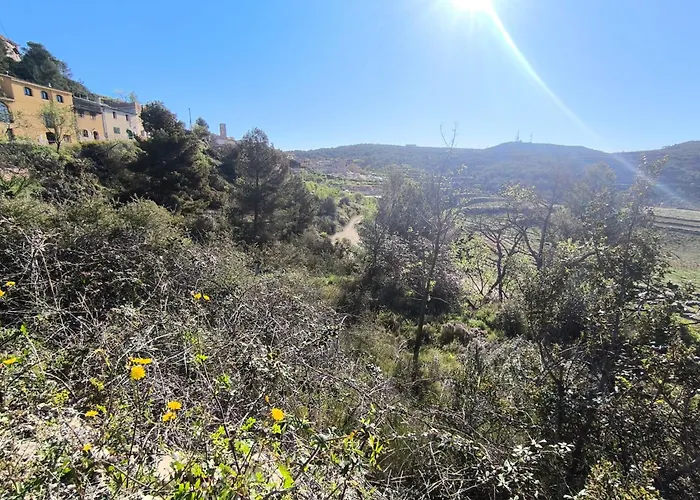 Hébergement de vacances Eremita Al Priorat La Figuera